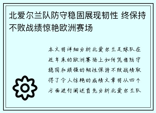 北爱尔兰队防守稳固展现韧性 终保持不败战绩惊艳欧洲赛场