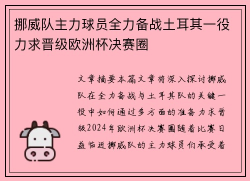 挪威队主力球员全力备战土耳其一役力求晋级欧洲杯决赛圈