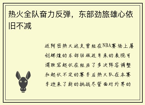 热火全队奋力反弹，东部劲旅雄心依旧不减