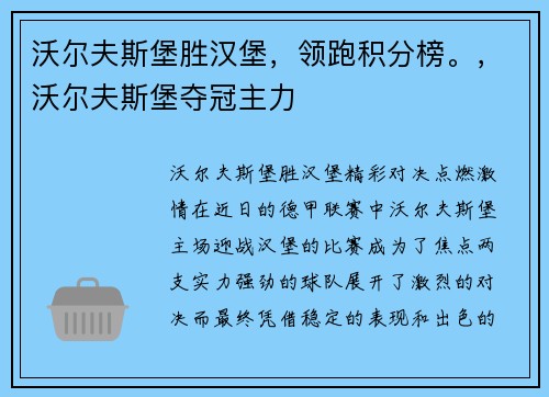 沃尔夫斯堡胜汉堡，领跑积分榜。，沃尔夫斯堡夺冠主力