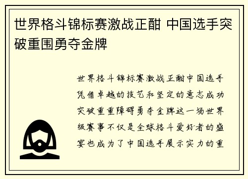 世界格斗锦标赛激战正酣 中国选手突破重围勇夺金牌